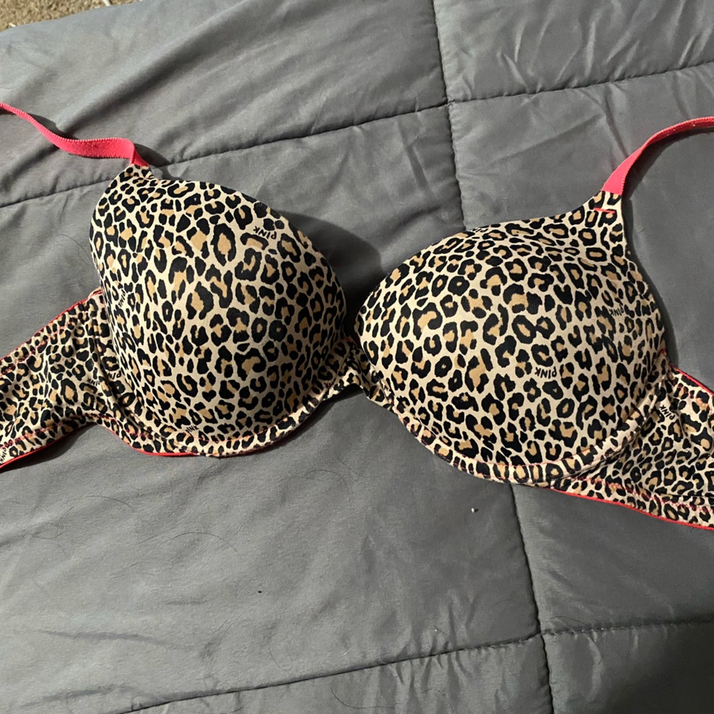 36C Bra